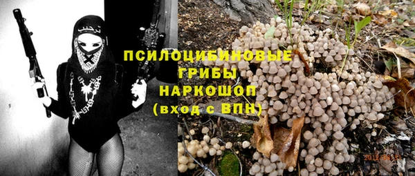 амф Белокуриха