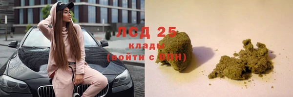 индика Белоозёрский