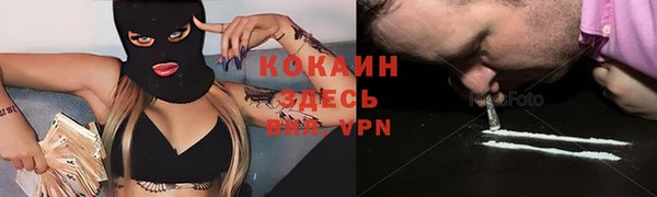 индика Белоозёрский