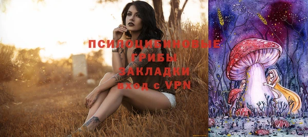 индика Белоозёрский