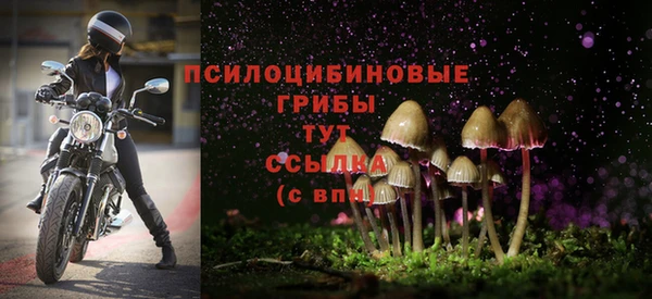 амф Белокуриха