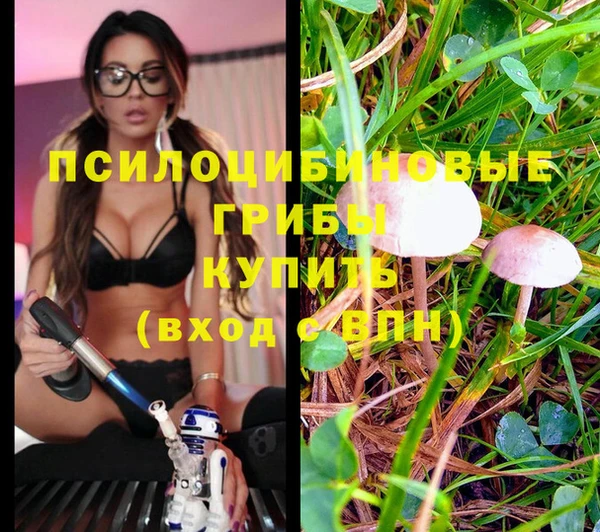 индика Белоозёрский