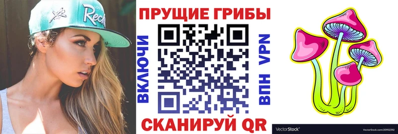 Галлюциногенные грибы Magic Shrooms Ефремов